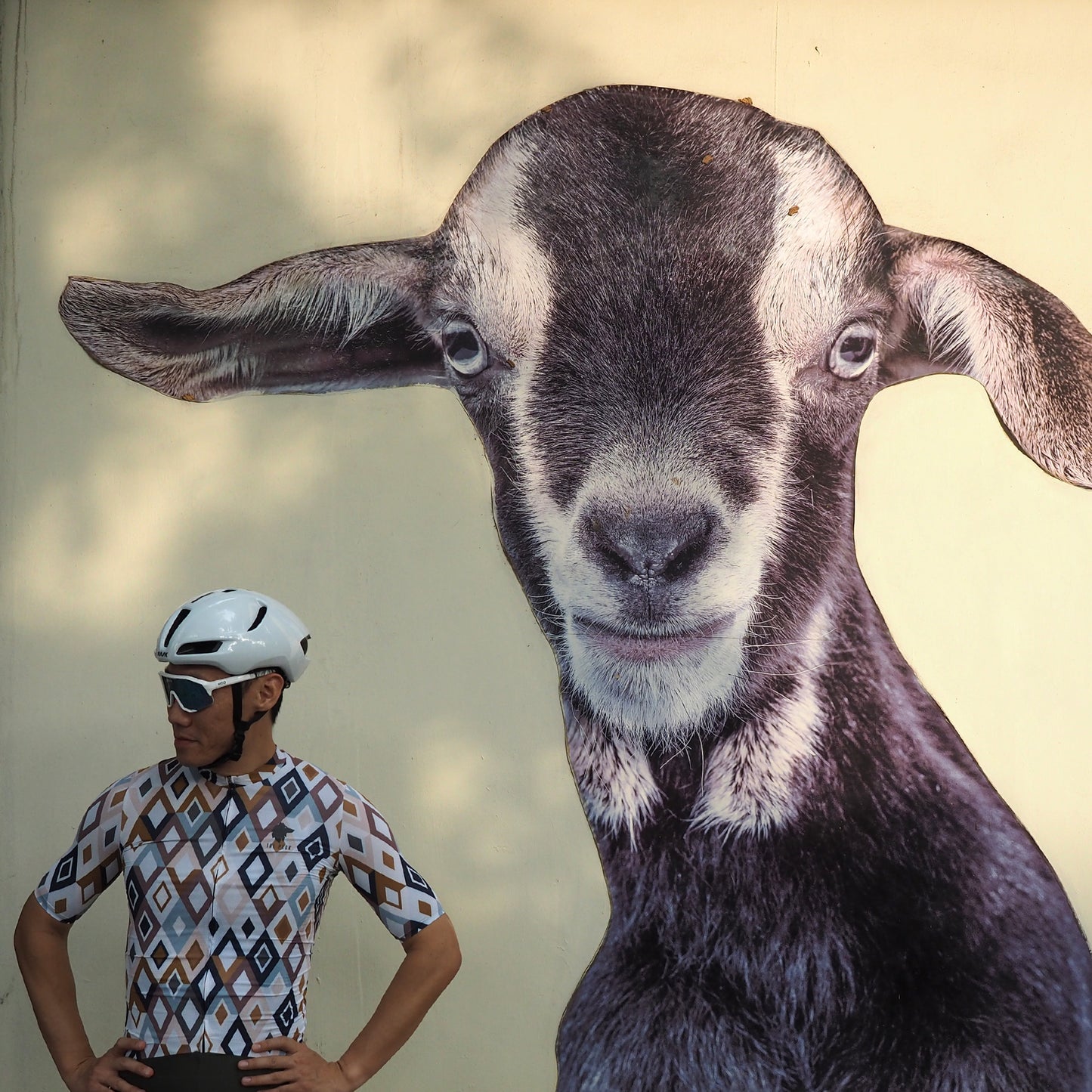 The Pack Alpha Geometric Jersey - Men (Prism)