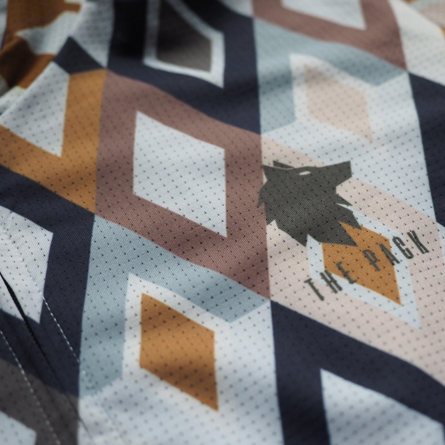 The Pack Alpha Geometric Jersey - Men (Prism)